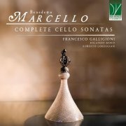 Roberto Loreggian, Francesco Galligioni, Rolando Moro - Sonata No. 5 in C Major: IV. Allegro