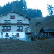 Money Flip - shades of you