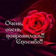 Скриптонит, w140, кухня - чтобы тронуло