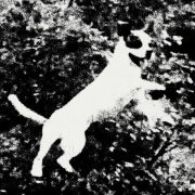 Edmondson - Juno's Theme