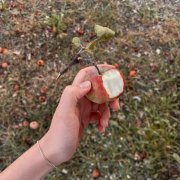 hehehe - Ты любил