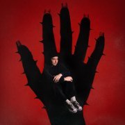 Wyraero - выбрал второе