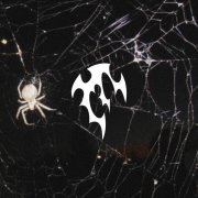 ask eternity - through the veil