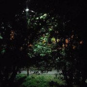 radiotehnika - в свете неона