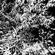 Silecut, Ineedrest - Туман (Intro)