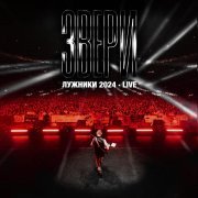 Звери - Рома, извини (Лужники 2024, Live)