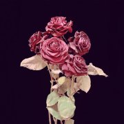 Заснегом - Встретимся в марте