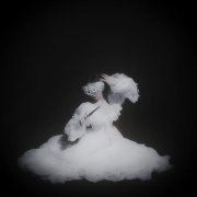 polnalyubvi, Tritia - Сон