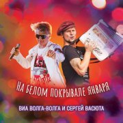 Сергей Васюта, ВИА «Волга-Волга» - На белом покрывале января