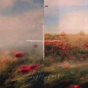 twinsense - биполярный